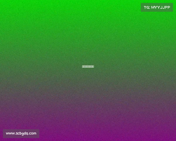 泰安电子科技大学